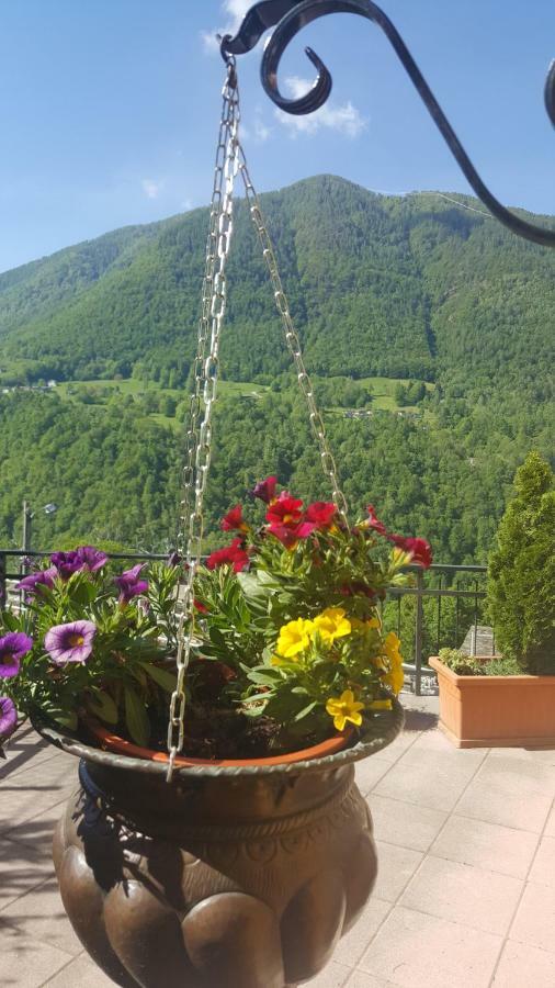 Cedarwood Bed and Breakfast Premana Exteriör bild